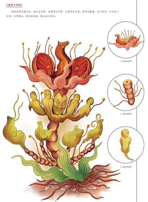 神仙花|中国古代神话中的植物